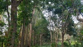 Land for sale in Carasuchi, Cavite