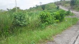 Land for sale in Tamiao, Cebu