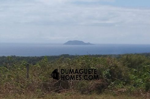 Land for sale in Tunga-Tunga, Negros Oriental
