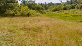 Land for sale in Lomangog, Bohol