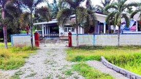 Land for sale in Wang Mai, Chumphon