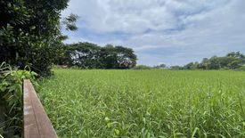 Land for sale in World Club Land, Nong Khwai, Chiang Mai