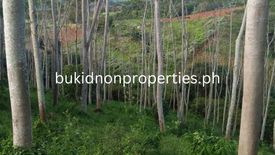 Land for sale in Lourdes, Bukidnon