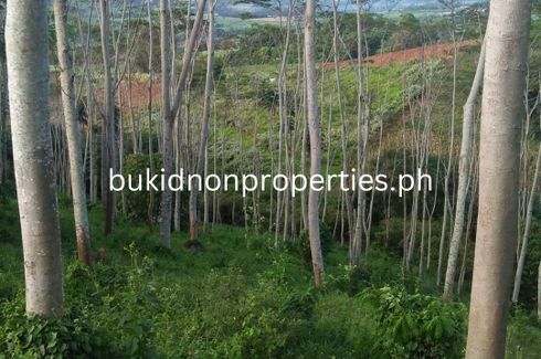 Land for sale in Lourdes, Bukidnon