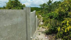 Land for sale in Lawis, Cebu