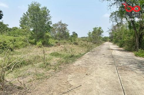 Land for sale in Wang Yen, Nakhon Pathom
