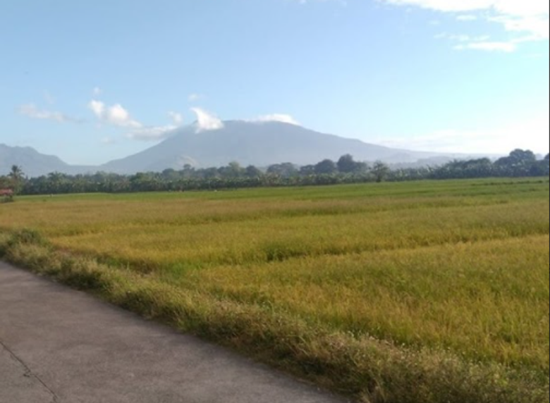 Commercial Lot for Sale / Lease in Buenavista East, Candelaria Quezon