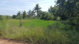 Land for sale in Bung Khla, Chaiyaphum