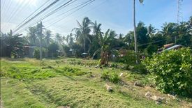 Land for sale in Looc, Bohol
