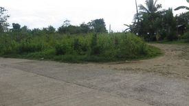 Land for sale in Cabawan, Bohol