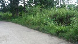 Land for sale in Cabawan, Bohol