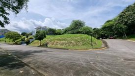 Land for sale in Maunong, Laguna
