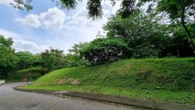 Land for sale in Maunong, Laguna