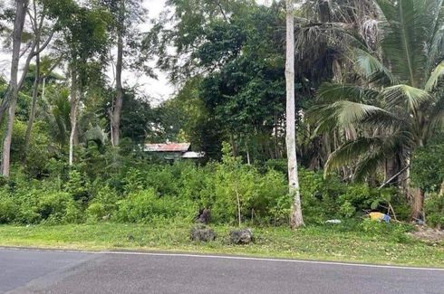 Land for sale in Solangon, Siquijor
