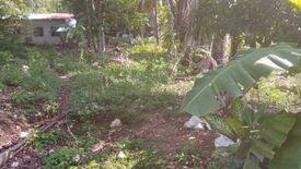 Land for sale in Solangon, Siquijor