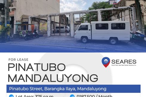 Land for rent in Barangka Ilaya, Metro Manila near MRT-3 Boni
