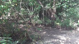 Land for sale in Danao, Bohol