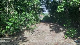 Land for sale in Danao, Bohol