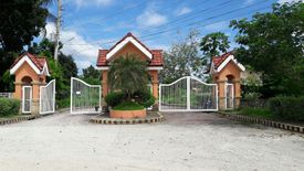 Land for sale in Tamiao, Cebu