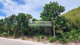 Land for sale in Punta Cruz, Bohol