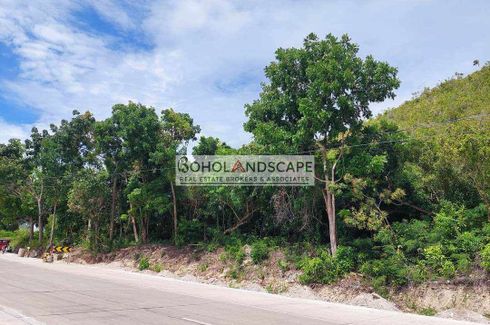 Land for sale in Tontonan, Bohol