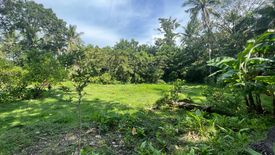 Land for sale in Balabag, Aklan
