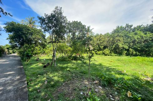 Land for sale in Balabag, Aklan