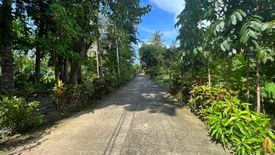 Land for sale in Balabag, Aklan