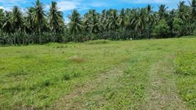 Land for sale in Kabkaban, Cebu