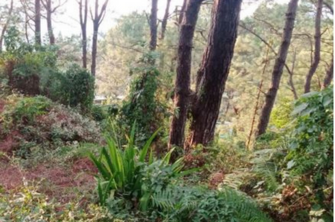 Land for sale in Fort Del Pilar, Benguet