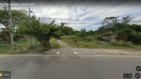 Land for sale in Anupul, Tarlac