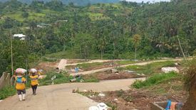 Land for sale in Babag, Cebu