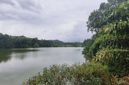 Land for sale in Takua Pa, Phang Nga