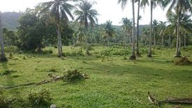 Land for sale in Mahayahay, Surigao del Norte