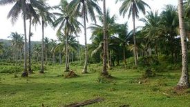 Land for sale in Mahayahay, Surigao del Norte