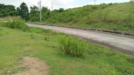 Land for sale in Pulangbato, Cebu