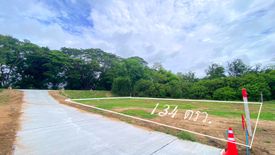 Land for sale in Khua Mung, Chiang Mai