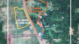 Land for sale in Bibincahan, Sorsogon