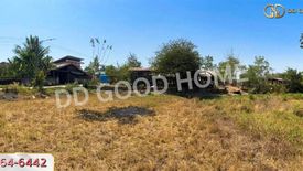 Land for sale in Bua Ngam, Ubon Ratchathani