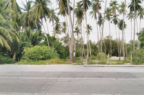 Land for sale in Enrique Villanueva, Negros Oriental
