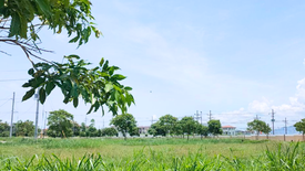 Land for sale in Lumira NUVALI, Canlubang, Laguna