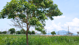 Land for sale in Lumira NUVALI, Canlubang, Laguna