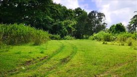 Land for sale in Capulaan, Pangasinan