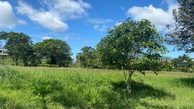 Land for sale in Santo Domingo, Laguna