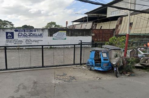 Land for Sale or Rent in Bambang, Metro Manila