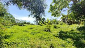 Land for sale in Mangas II, Cavite