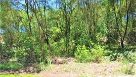 Land for sale in Jagobiao, Cebu