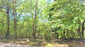 Land for sale in Jagobiao, Cebu