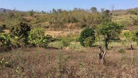 Land for sale in Wiang Tai, Mae Hong Son