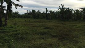 Land for sale in Nangka, Cebu